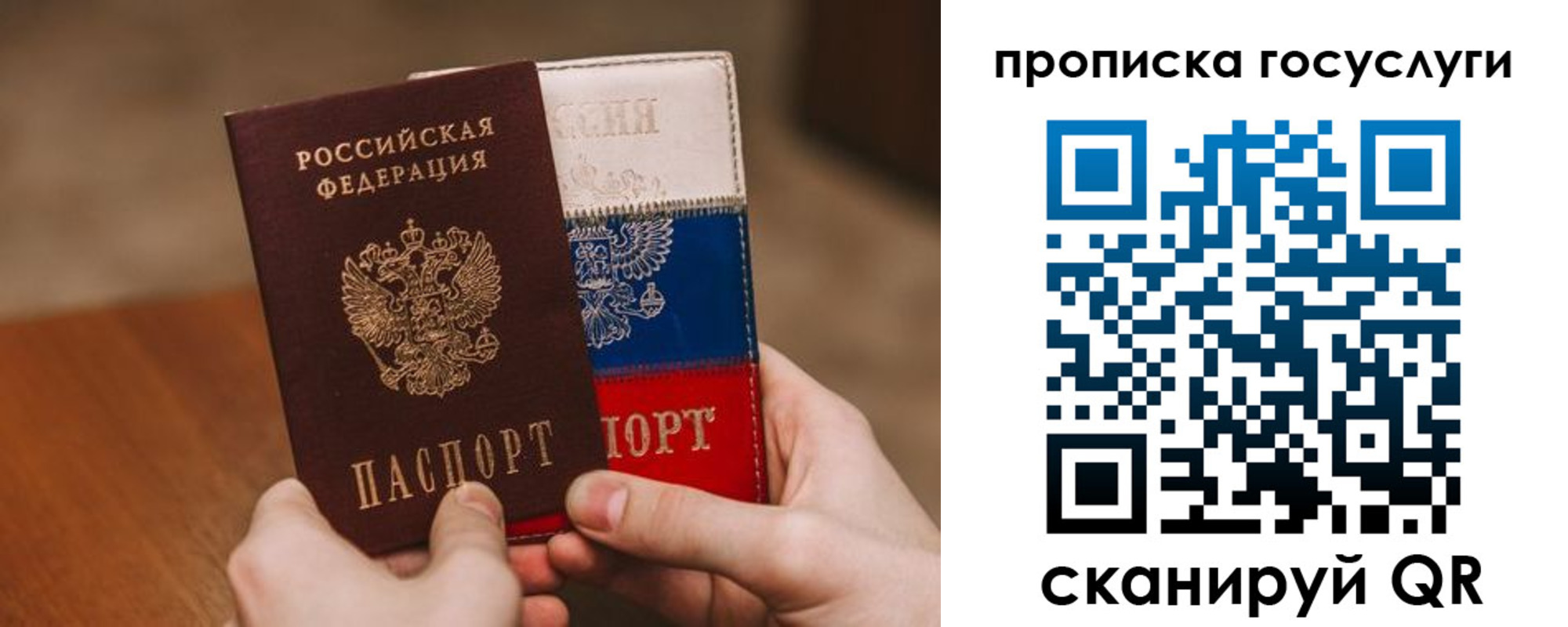 прописка штамп в Елизово